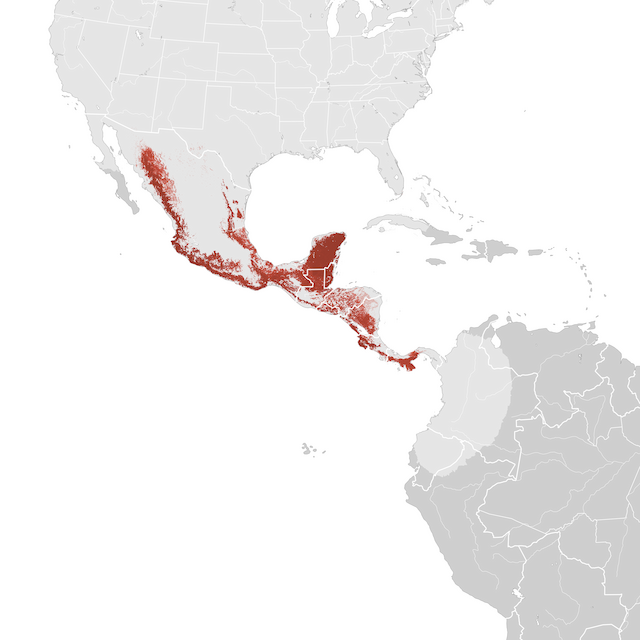 Mapa de abundâcia