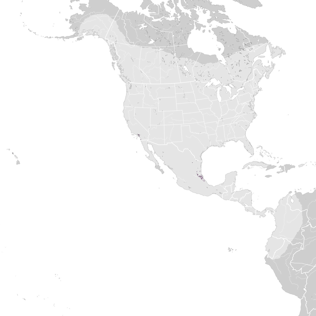 Mapa de Abundância