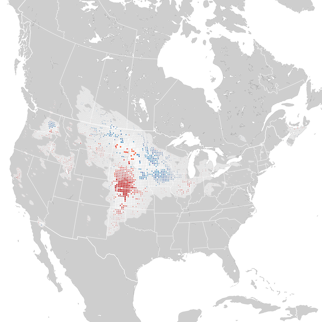 Trends Map