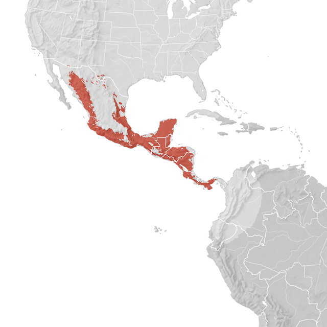 Mapa de distribuição