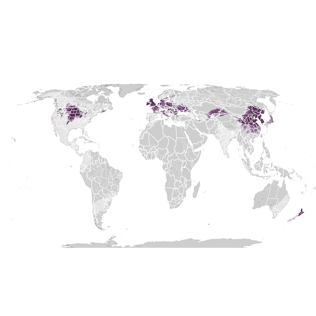 Mapa de abundancia