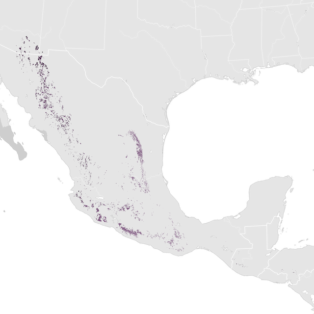 Ugaritasun mapa