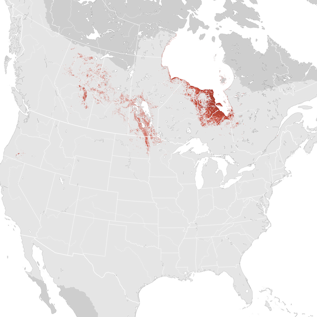 Abundance Map