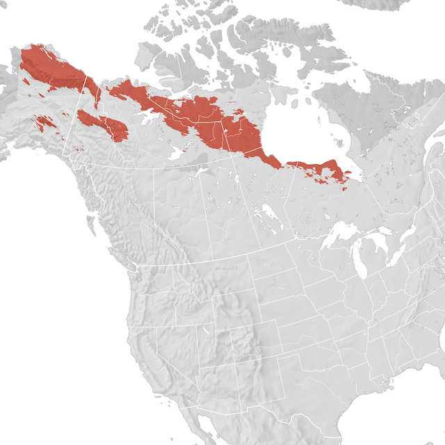 Range Map