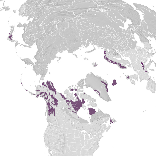 Mapa de Distribuição