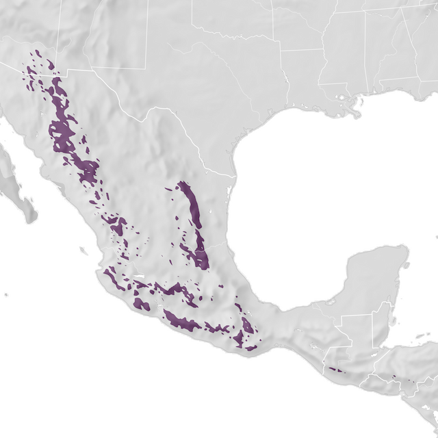 Mapa de distribuição