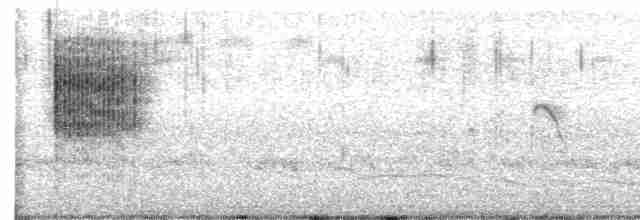 Blyth's Reed Warbler - ML497966141