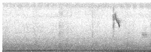 Берингийская жёлтая трясогузка - ML497985771