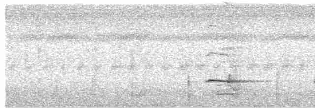 Braunrücken-Ameisenvogel [exsul-Gruppe] - ML498000971
