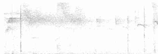 Rostbürzel-Ameisenfänger - ML498111871