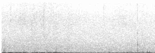 Al Beyaz Yerçavuşu - ML498140541