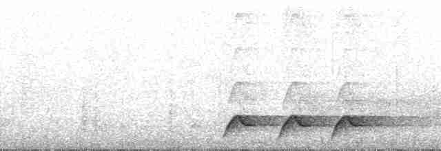 svartbuskvarsler (fuelleborni) - ML49815