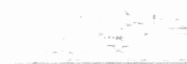 Spotless Crake - ML498187051