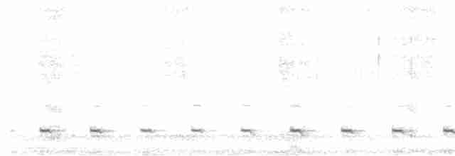 Chevêchette australe - ML498223501
