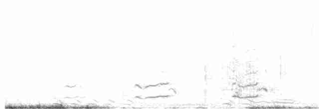 Гигантская лысуха - ML498241141