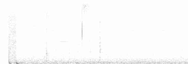 Güneyli Kestanerengi Karıncakuşu - ML498385651