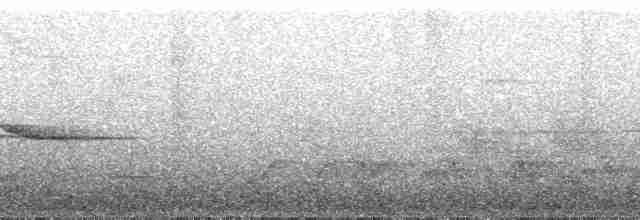Rougegorge de Swynnerton (rodgersi) - ML49841