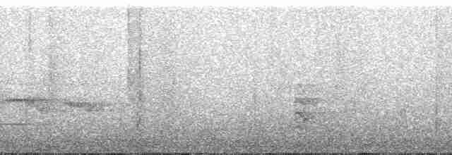 Rougegorge de Swynnerton (rodgersi) - ML49842