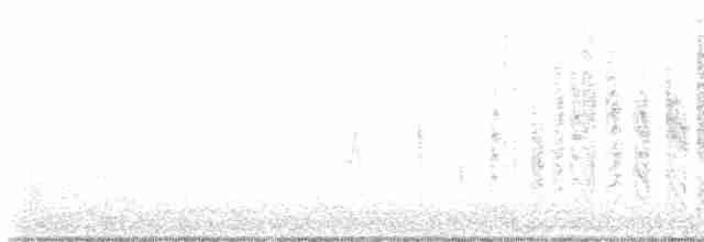 Marsh Wren (plesius Group) - ML498446301