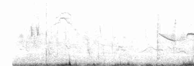 Патагонский пересмешник - ML498522011