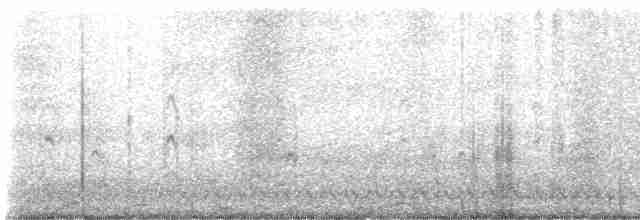 Common Tern - ML498552501