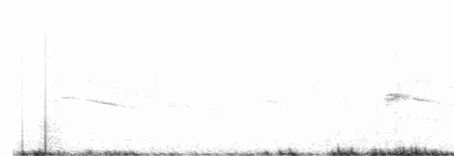 Kara Gerdanlı Çim İspinozu - ML498571391