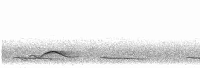 Чагарниця плямистоплеча - ML498579931