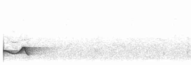 Чагарниця плямистоплеча - ML498579951