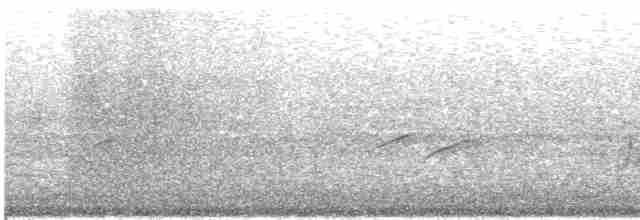 Long-tailed Minivet - ML498591891