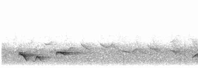 Ardıç Benekli Kıvrıkgaga - ML498612711