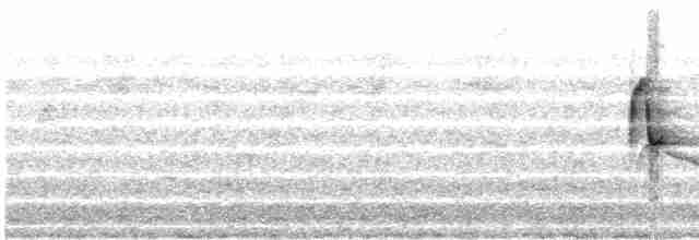 Белоухий крапивник - ML498661901