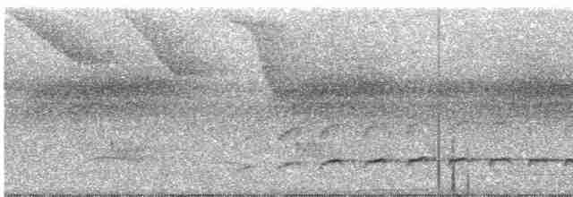 Батарито плямистоволий - ML498688251