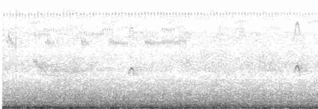 Американский бекасовидный веретенник - ML498695201