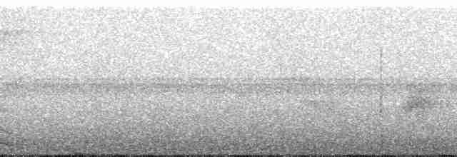 Bar-tailed Trogon - ML49870