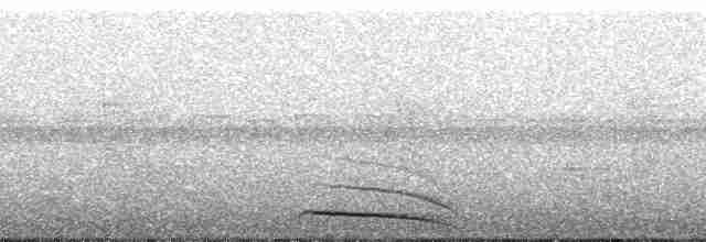 Полосатохвостый трогон - ML49871