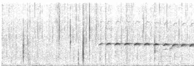 Rostrücken-Ameisenvogel - ML498715091