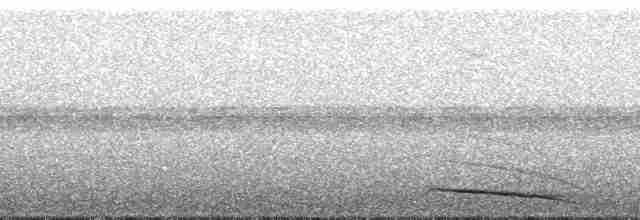 Bar-tailed Trogon - ML49872