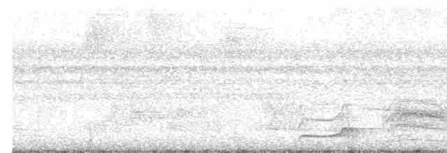Pic ondé (groupe grammicus) - ML498729471
