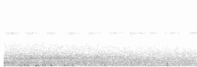 Сова-голконіг австралійська - ML49874901