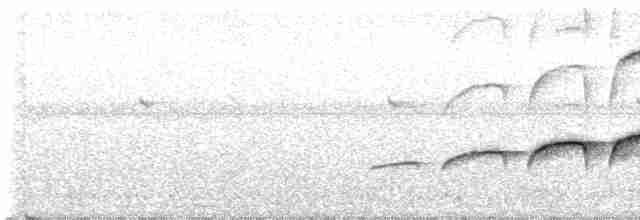 Large-tailed Antshrike - ML498757311