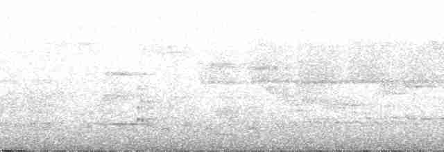 Акалат вохристий - ML49878