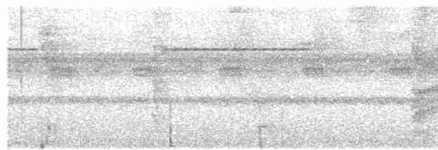 Поплітник білогорлий - ML498819851
