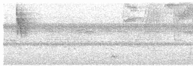 Поплітник білогорлий - ML498819961