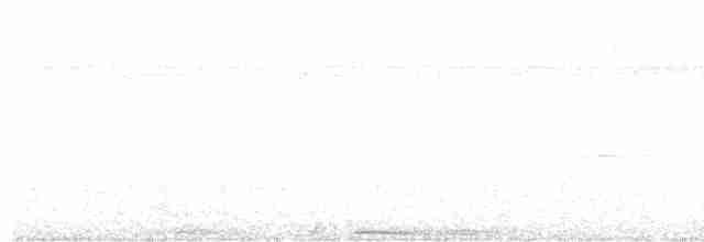 Purpurbrust-Fruchttaube - ML498821371