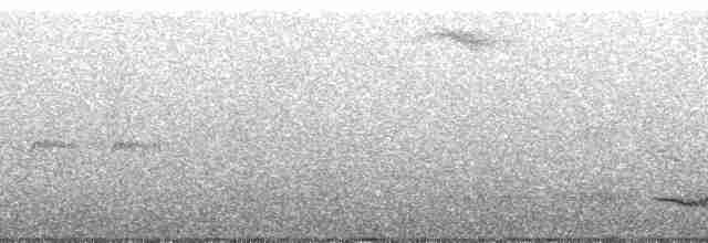 Cossyphe à poitrine blanche - ML49888