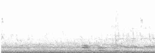 Australasian Grebe - ML498880301