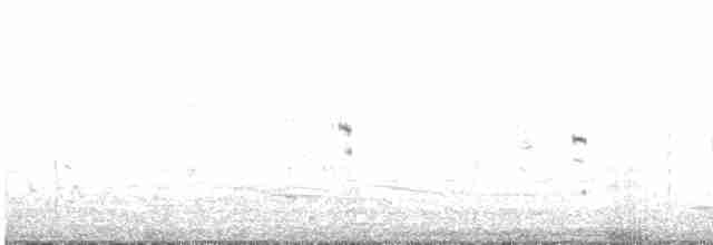 Australasian Grebe - ML498897101