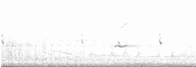 Australasian Grebe - ML498897111