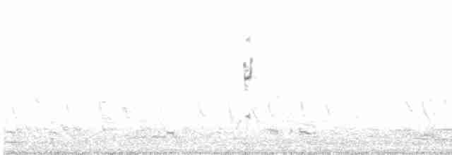 Australasian Grebe - ML498907101