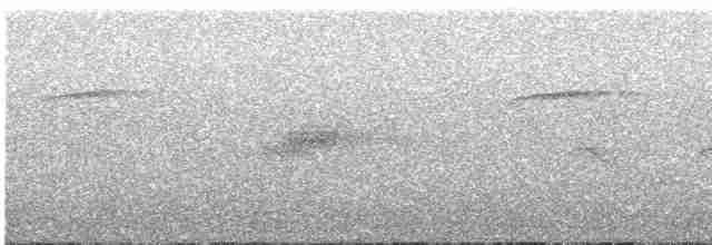 Mirlo Acuático Pardo - ML498913441